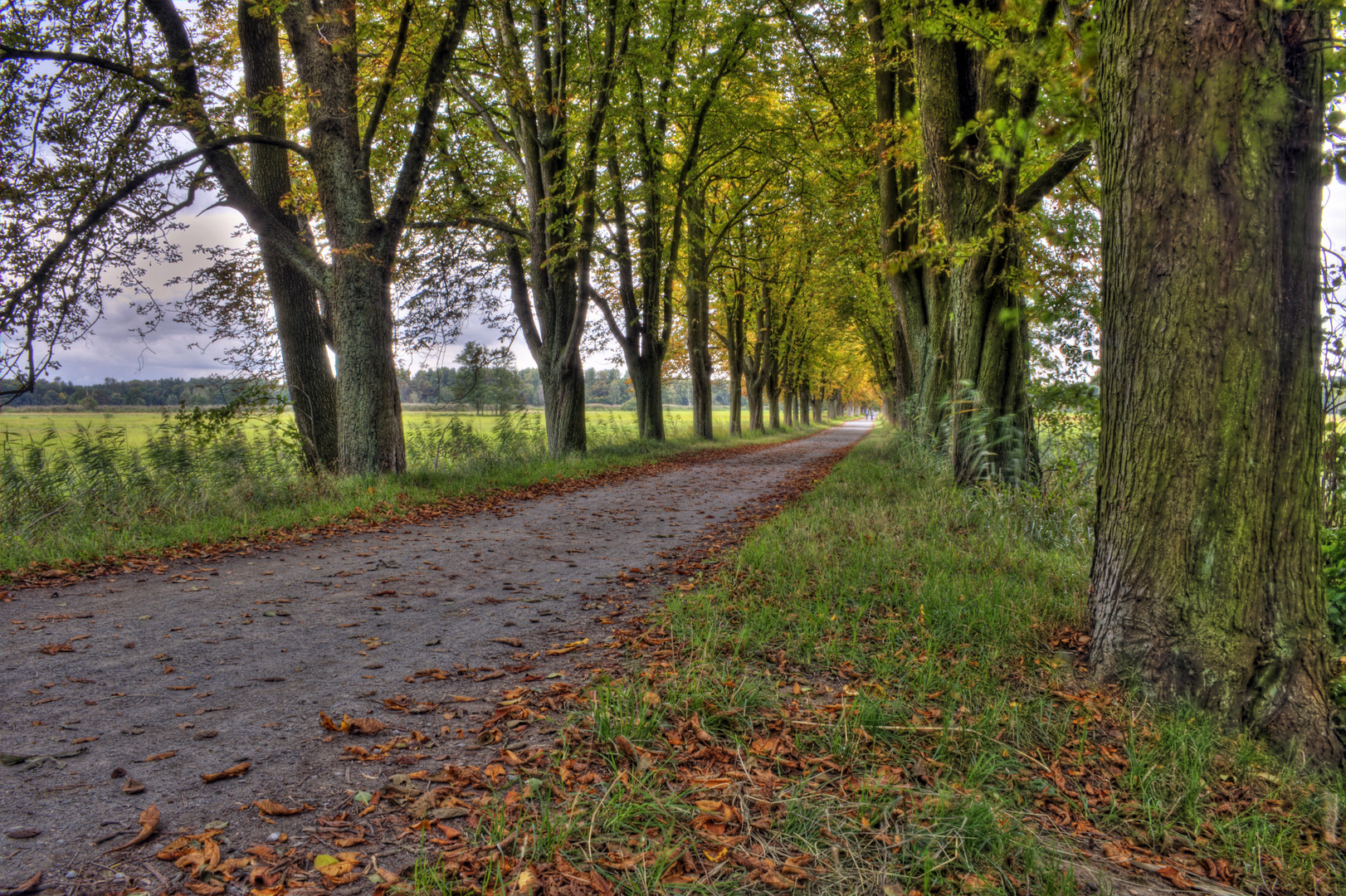 Mönchbruch Allee