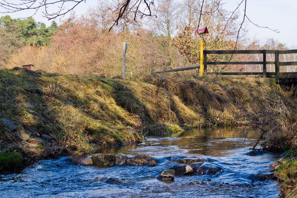 Mönchbruch bei Walldorf