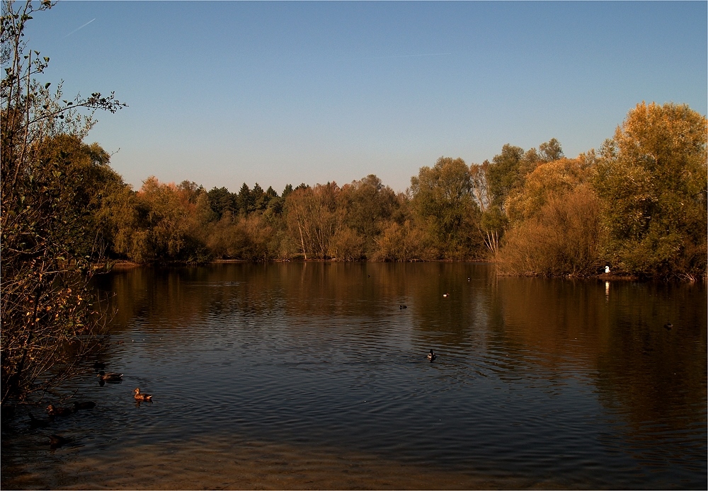 Mönchbruchweiher