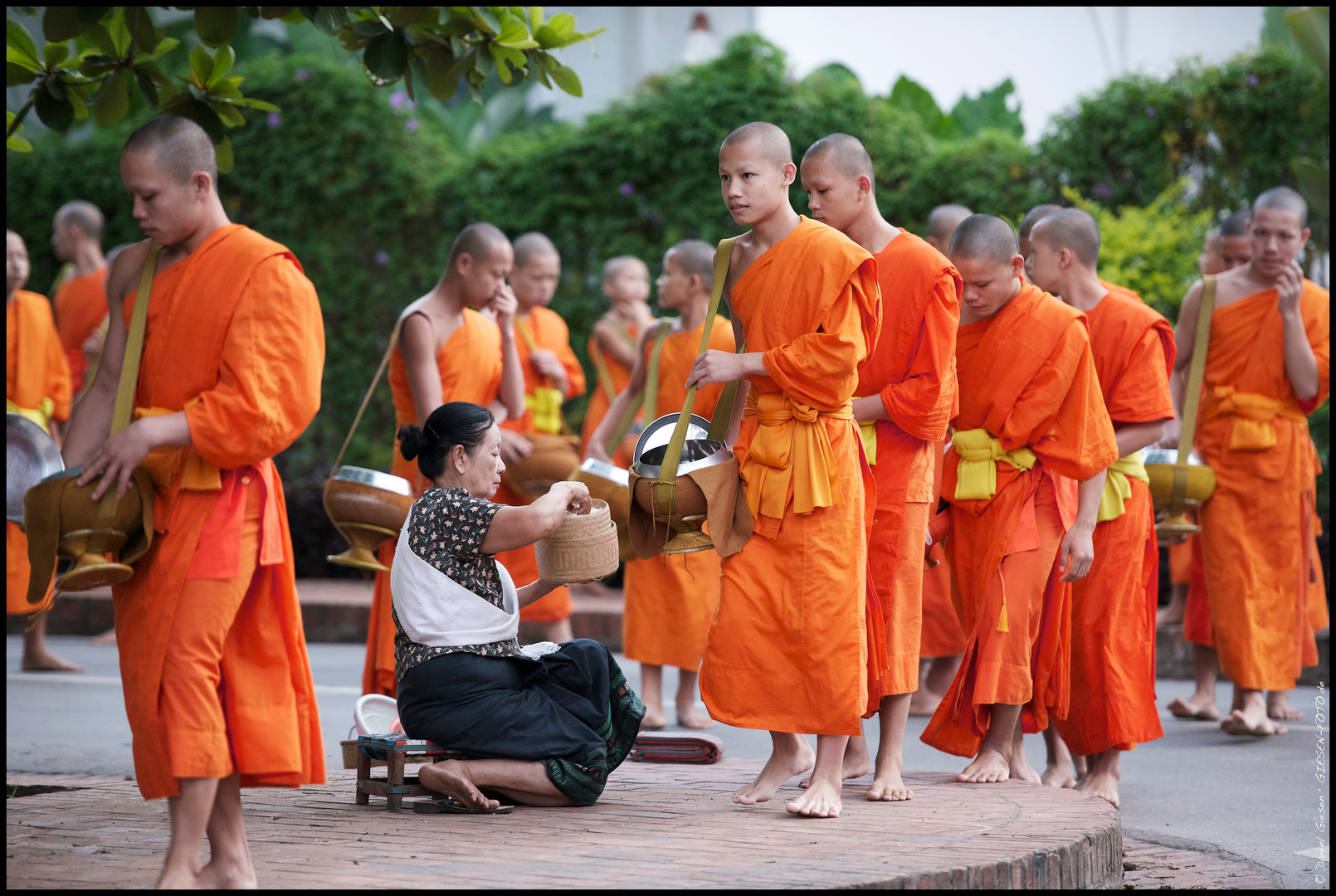 Mönche am frühen Morgen in Luang Prabang, Laos 2012