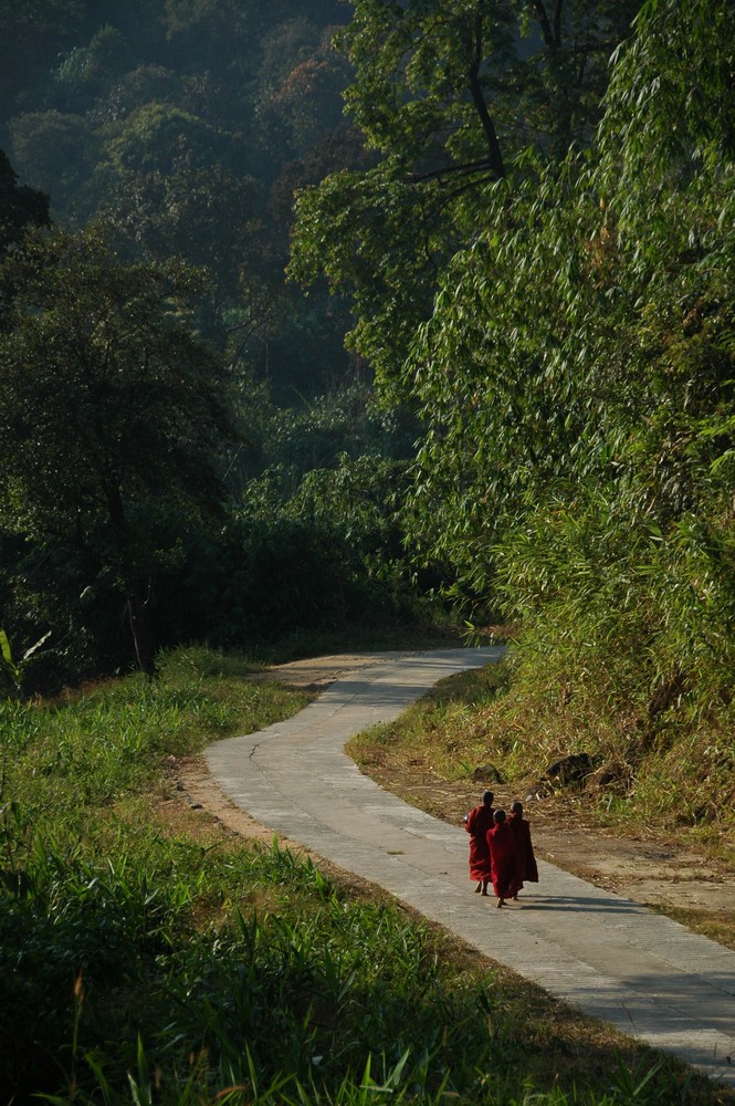 Mönche auf dem Heimeg  (Burma)