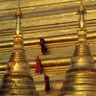 Mönche auf der Shwedagon