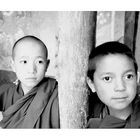 Mönche aus Thikse, Ladakh, Indischer Himallaya