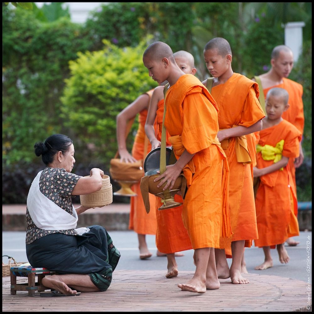 Mönche beim Essensgang in Luan Prabang, Laos 2012