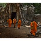 Mönche in Angkor Watt