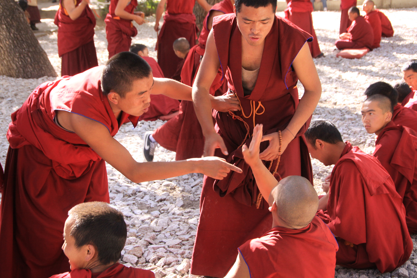 Mönche in Argumentationsübung/Tibet