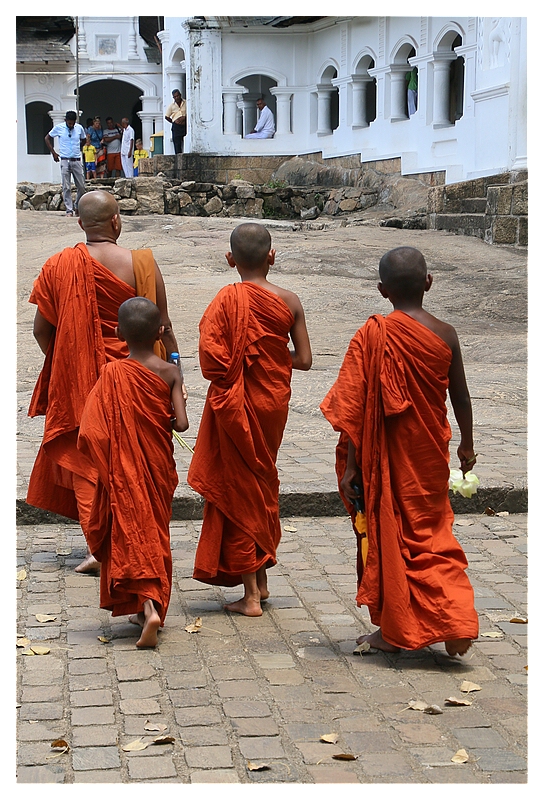 Mönche in Sri Lanka