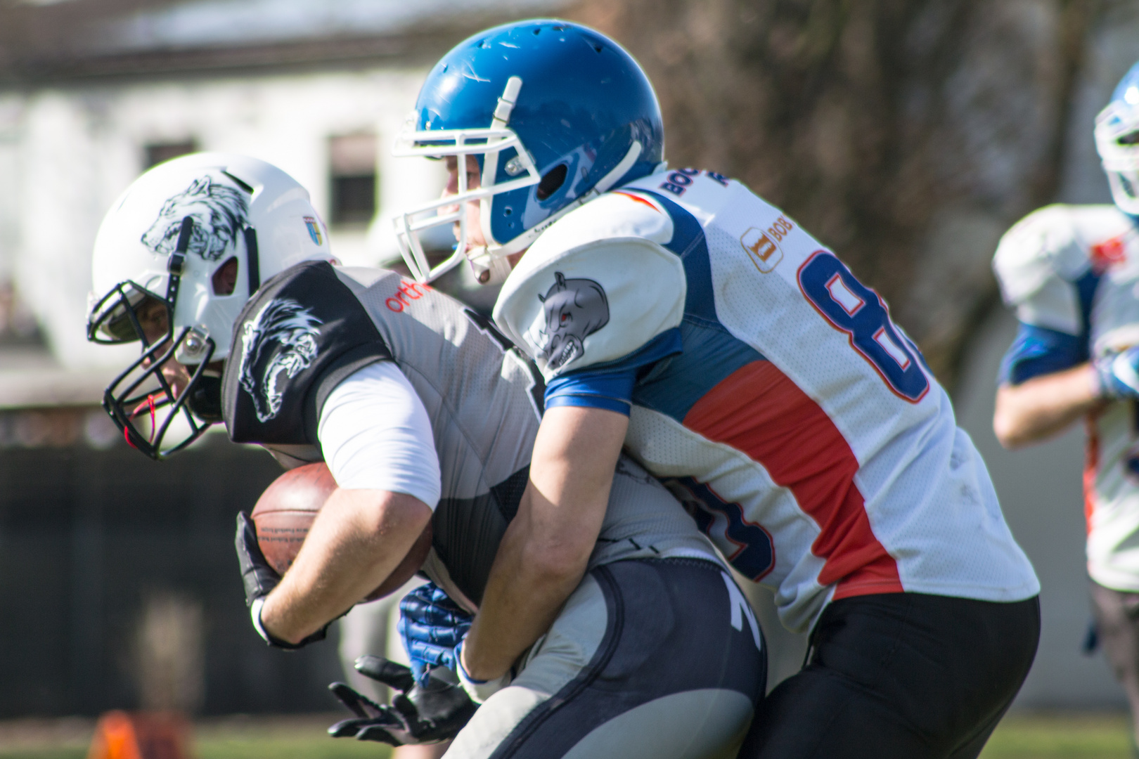 Mönchengladbach Wolfpack vs. Bocholt Rhinos