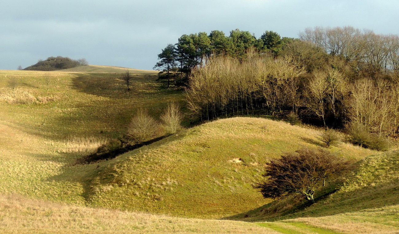 Mönchguter Landschaft Foto & Bild bäume, winter, natur Bilder auf