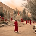 Mönchs-Cricket im Himalaya
