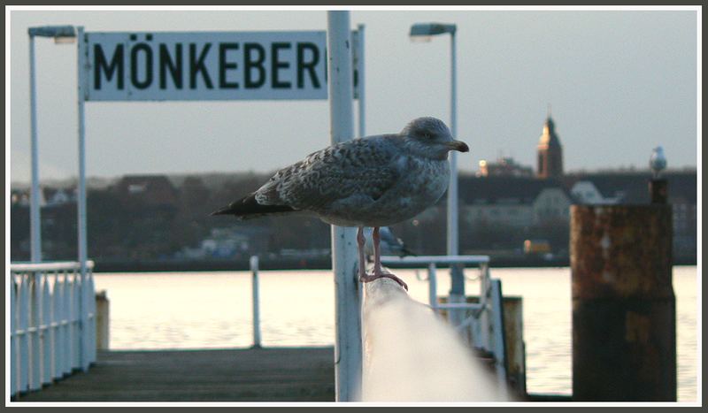 Mönkeberger Möwenpik