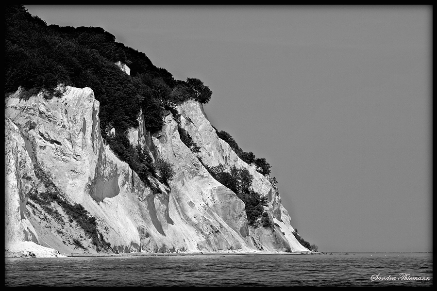 "Moens Klint" Kreidefelsen 2010