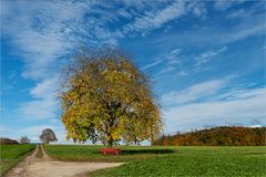 Möösli 27.10.2020