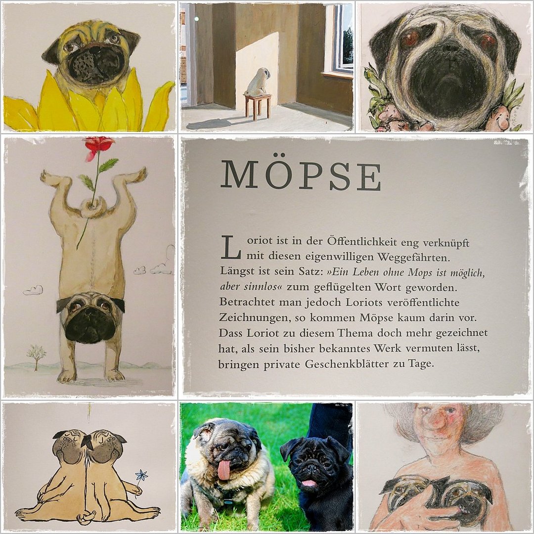 Möpse