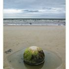 moeraki boulder