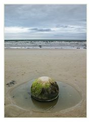 moeraki boulder