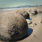 Moeraki Boulder 