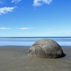 Moeraki Boulder, Neuseeland