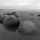 Moeraki Boulders