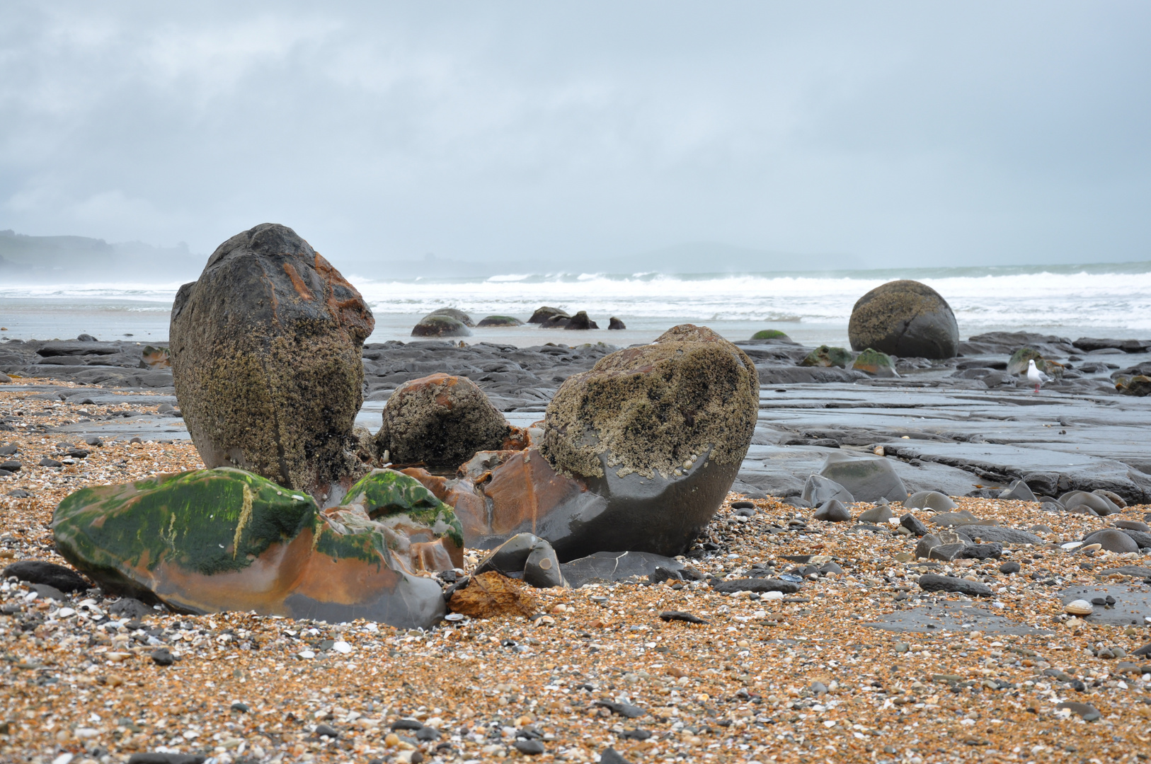 Moeraki Boulders