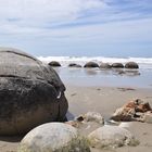 Moeraki Boulders