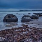 Moeraki Boulders 2