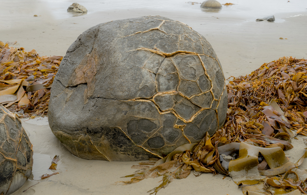 Moeraki Boulders - 2