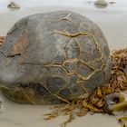 Moeraki Boulders - 2