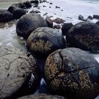 Moeraki Boulders