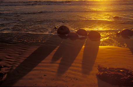 Moeraki Boulders 3