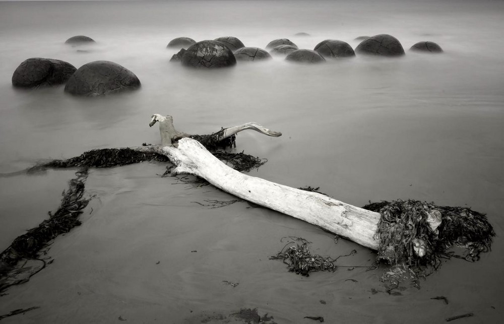 Moeraki Boulders (3)