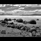 Moeraki Boulders #4