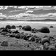 Moeraki Boulders #4