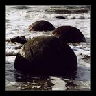 Moeraki Boulders