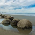 moeraki boulders-4502