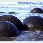 Moeraki Boulders