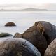 Moeraki Boulders