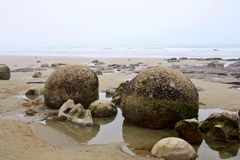 Moeraki Boulders