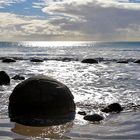 Moeraki Boulders