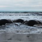 Moeraki Boulders