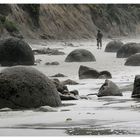 moeraki boulders