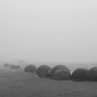 Moeraki Boulders