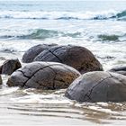 Moeraki Boulders