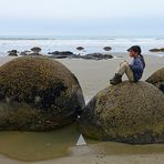 Moeraki Boulders an der Ostküste