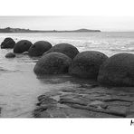 Moeraki Boulders