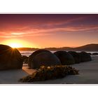 °Moeraki Boulders°