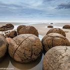 Moeraki Boulders