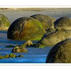 *Moeraki Boulders*