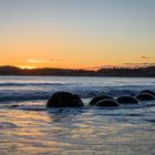 Moeraki Boulders during sunrise