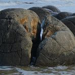 Moeraki Boulders